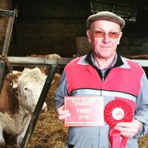 Aubrey Mills with his prize winning cattle